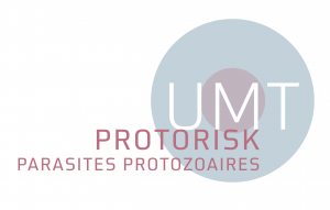 UMT Protorisk logo