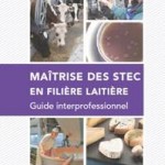 guide stec