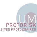 UMT Protorisk