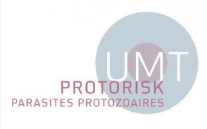 UMT Protorisk