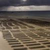huitre normandie