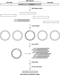 technique OGM