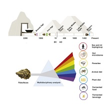 paleofeces