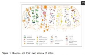 action biocide