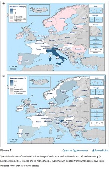 carte résistance