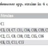 classification pseudomonas