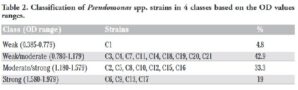 classification pseudomonas