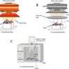 irradiation aliment