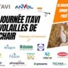 journée itavi