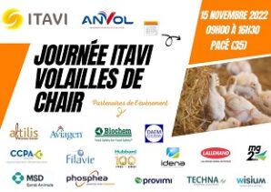 journée itavi