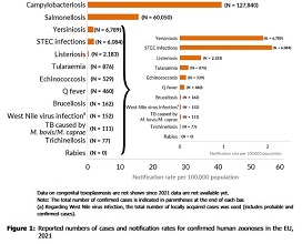 rapport zoonoses 2021