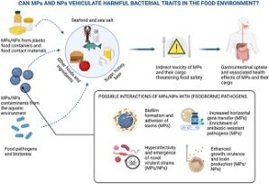 microplastiques vecteurs