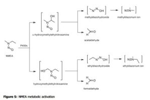 nitrosamine