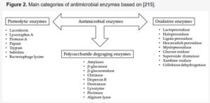 enzymes antimicrobiennes