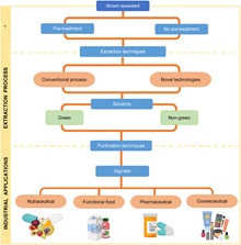 extraction alginate