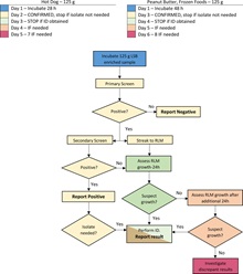 detection l monocytogenes