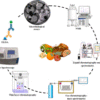 method detection toxin food