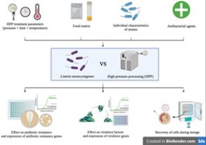 HPP listeria