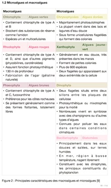 MACRO ET MICRO ALGUES