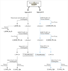 extraction fucus