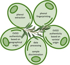 phénol huile d'olive