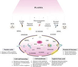 plasma froid