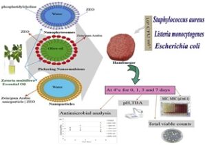 nanoparticules