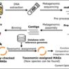 microbiome alimentaire