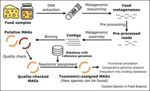 microbiome alimentaire