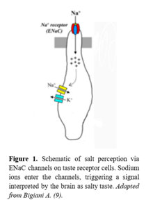 sel perception