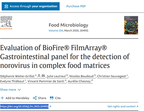 analyse norovirus