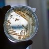 réglement listeria