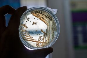 réglement listeria